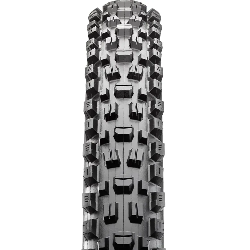 Assegai EXO+ TR MTB-Reifen (29")