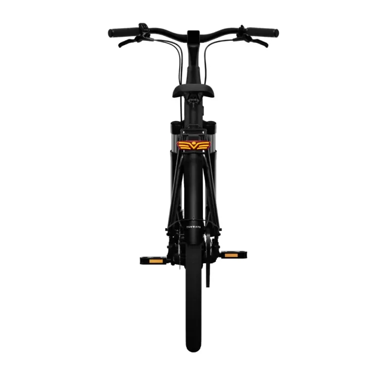 CGO 800 S E-Bike City Bike Tiefeinsteiger 28" schwarz