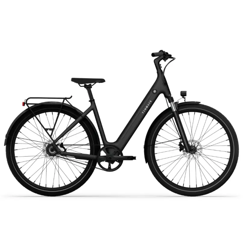 CGO 800 S E-Bike City Bike Tiefeinsteiger 28" schwarz