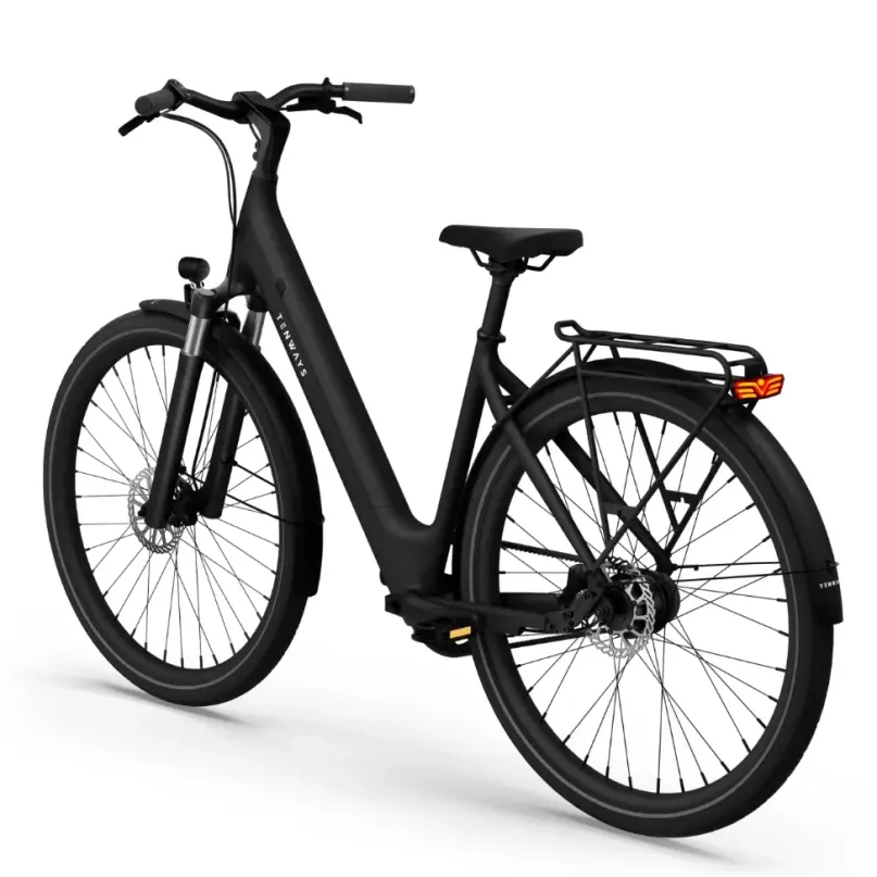 CGO 800 S E-Bike City Bike Tiefeinsteiger 28" schwarz