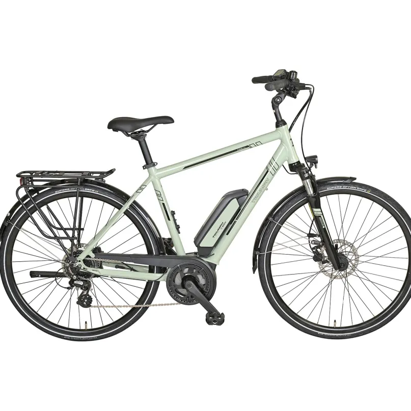 E-Bird 300 E-Bike City Bike Herren 28" grün