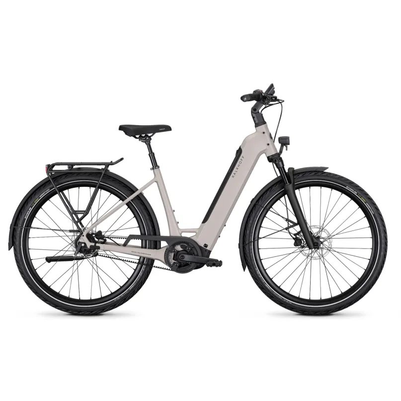 Image 3 Supreme Belt RT E-Bike City Bike grau