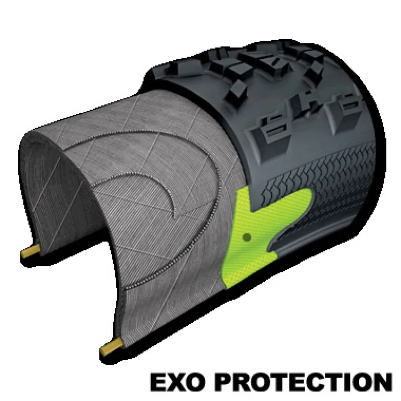 Minion DHF Exo TR MTB-Reifen (27,5")