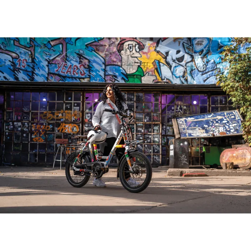 N3.8 ZR by Sadkowsky E-Bike Kompaktrad 20" Sondermodell