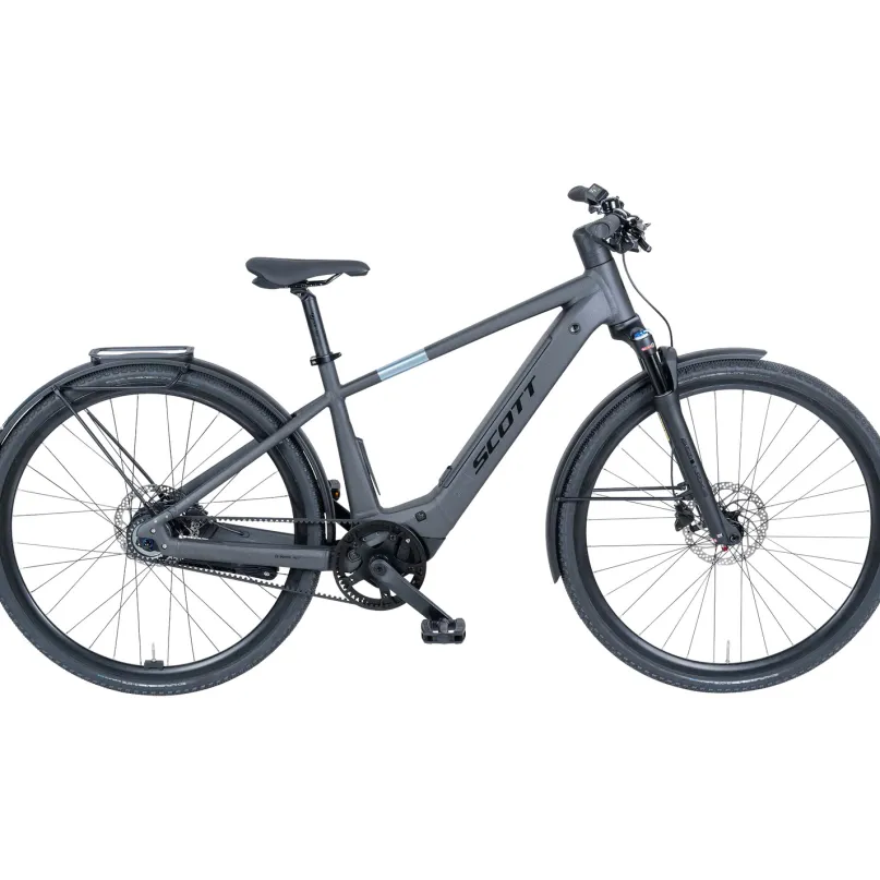 Passage 10 Belt Men E-Bike City Bike Herren 29" grau
