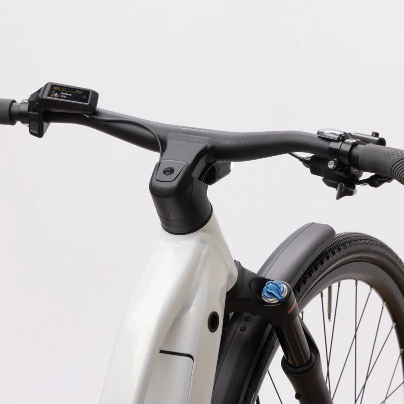 Passage 30 E-Bike City Bike Herren 29"