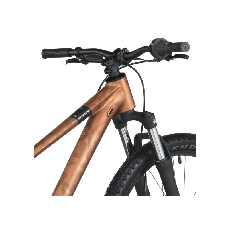 Roxter 600 Jugendfahrrad 26" braun