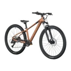 Roxter 600 Jugendfahrrad 26