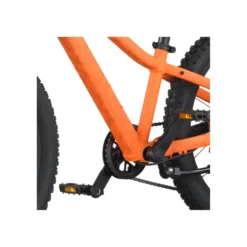 Roxter 200 Kinderfahrrad 20