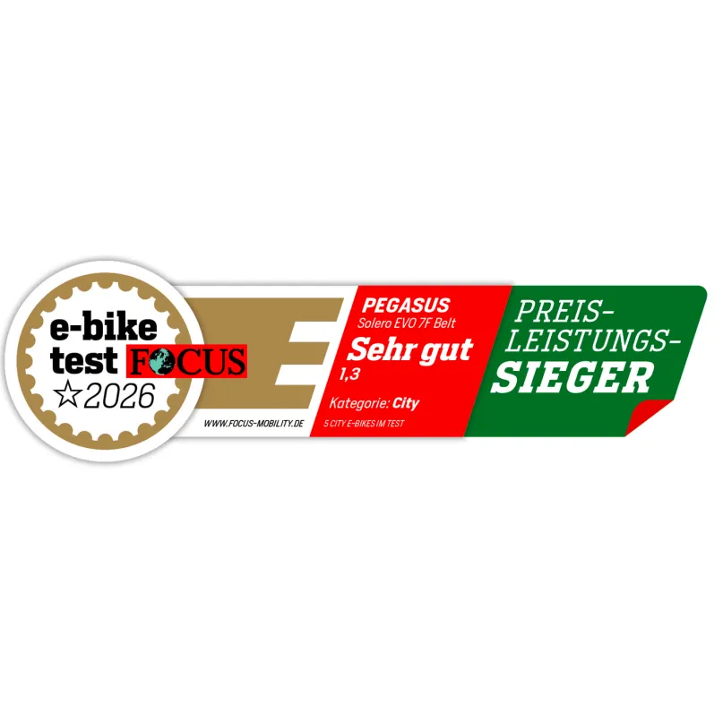 Solero EVO 7F Belt E-Bike City Bike Tiefeinsteiger 28" grün