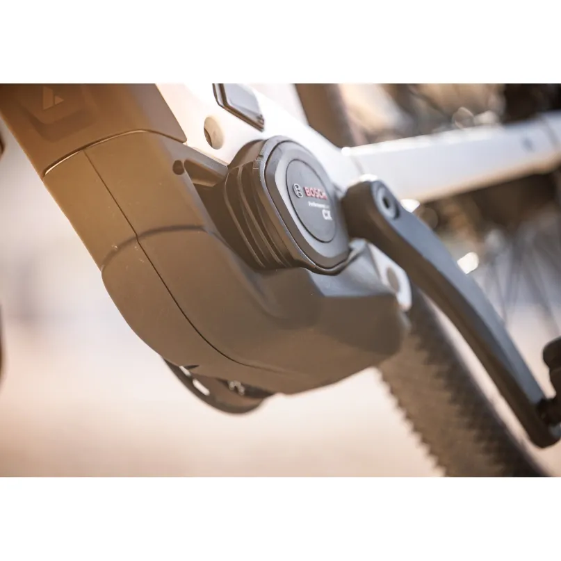 Sturmvogel EVO Belt E-Bike City Bike Tiefeinsteiger 29" weiß